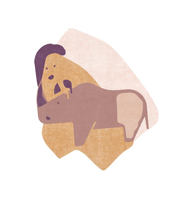 mr-rhino-rug-circu-magical-furniture-1